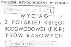 Wacicielem ZNAJDY z Kresw (hodowla Piotra Kartawika) by Wacaw Lesiski. 